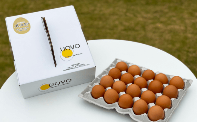 UOVO天上卵 有